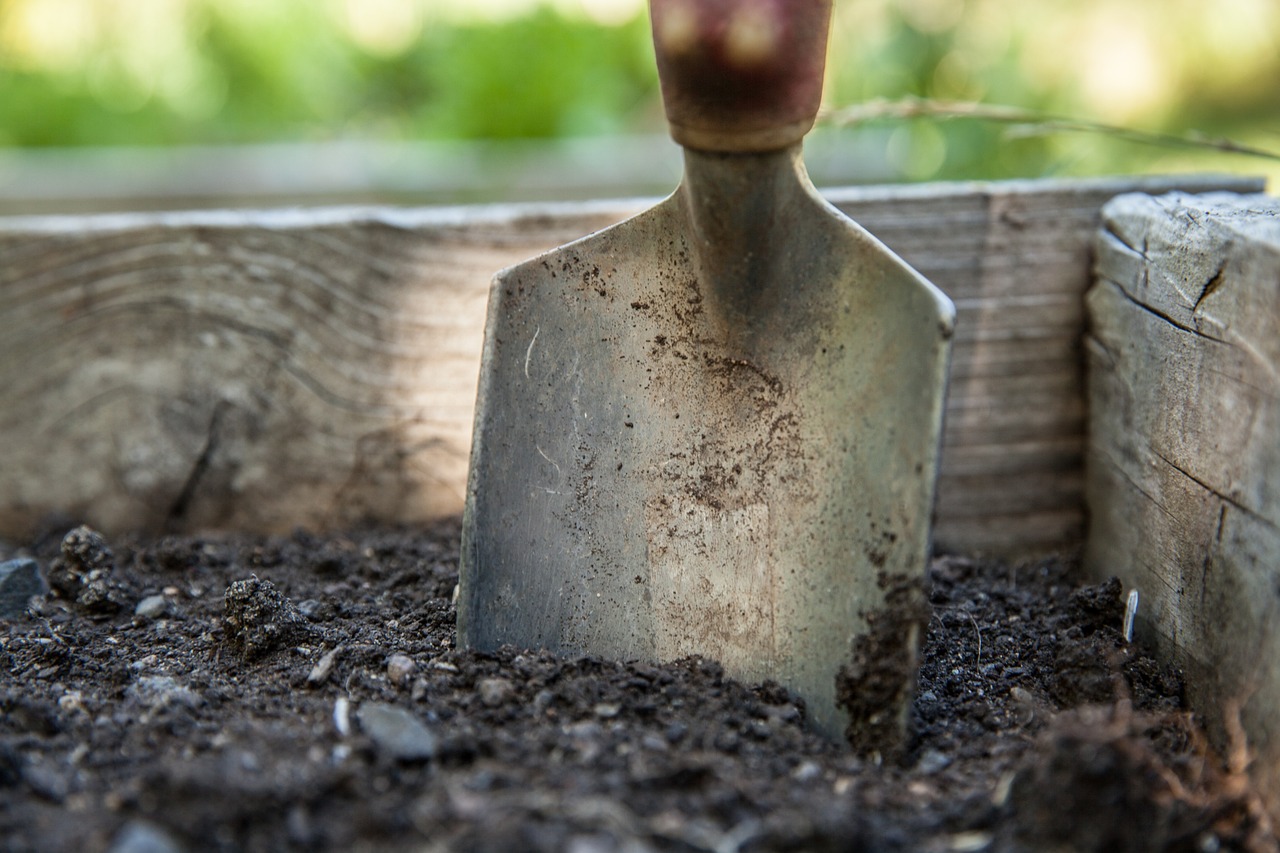 découvrez l'outil de jardinage essentiel pour entretenir facilement votre jardin et garantir des résultats professionnels à chaque utilisation.