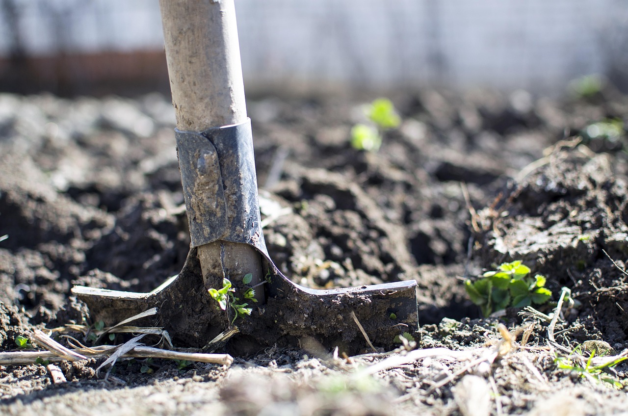 découvrez notre sélection d'outils de jardin de qualité pour entretenir facilement votre espace extérieur. outils durables et ergonomiques pour jardiniers amateurs et professionnels.