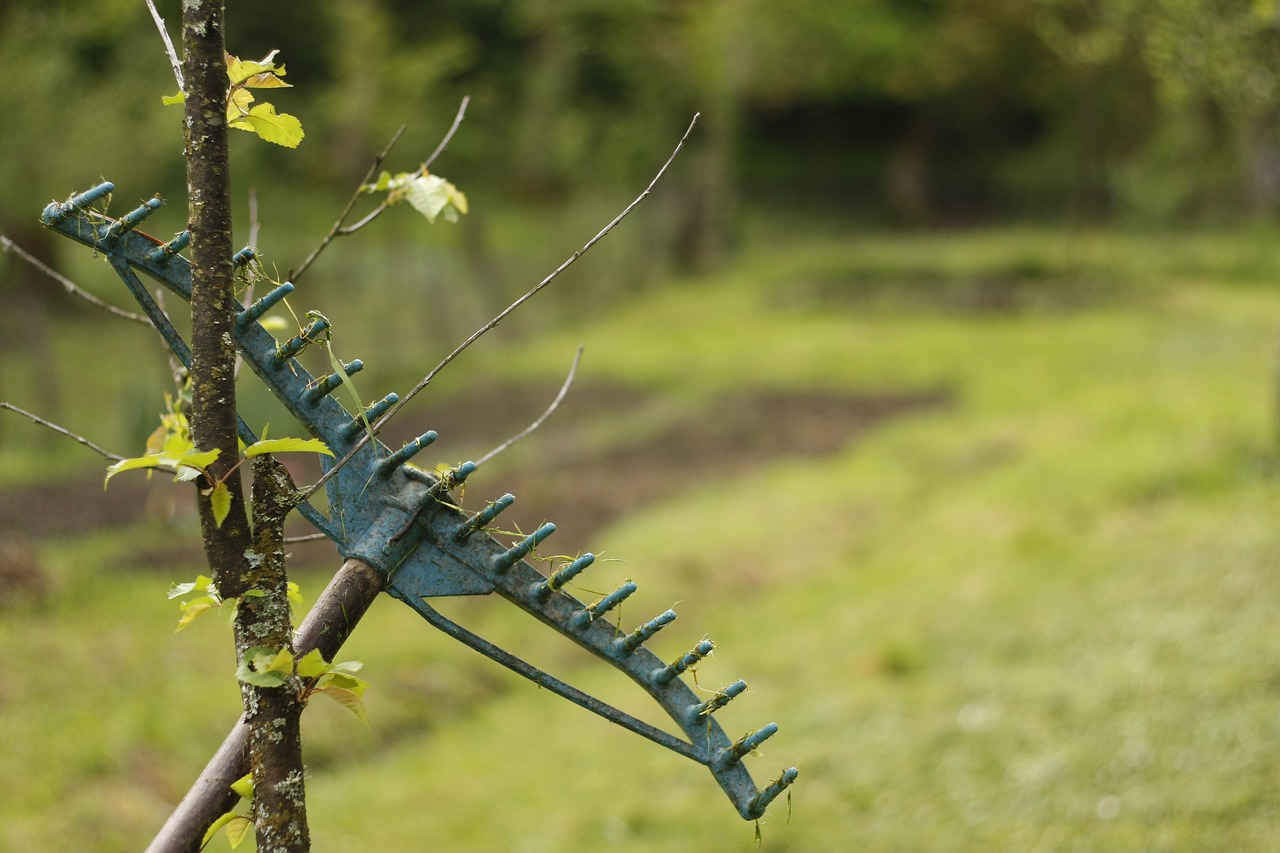 découvrez notre sélection d'outils de jardin de qualité pour entretenir et embellir votre espace vert avec facilité.