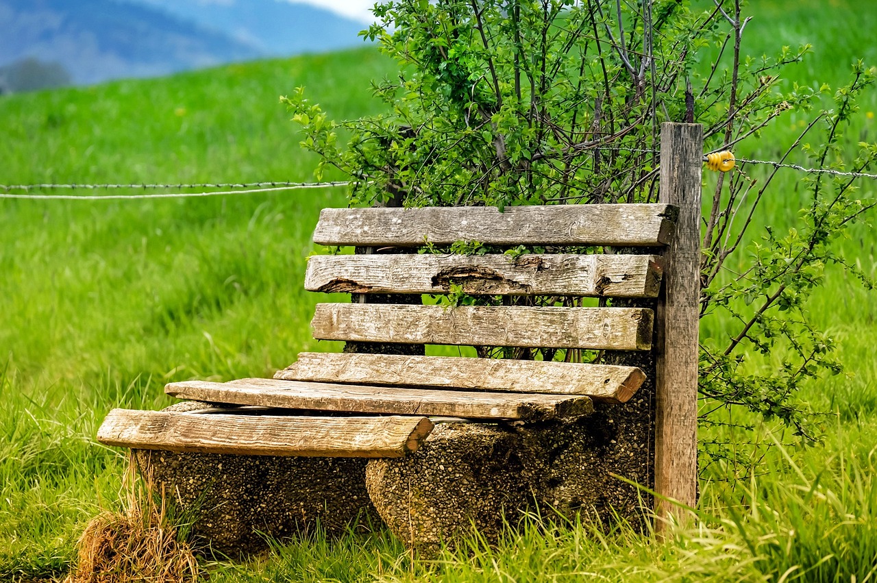 banc en bois recyclé, alliant durabilité et design écologique pour un mobilier extérieur unique et respectueux de l'environnement.