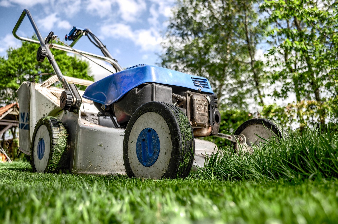 découvrez nos conseils et astuces de jardinage pour entretenir votre espace extérieur, cultiver vos plantes et créer un jardin magnifique toute l'année.