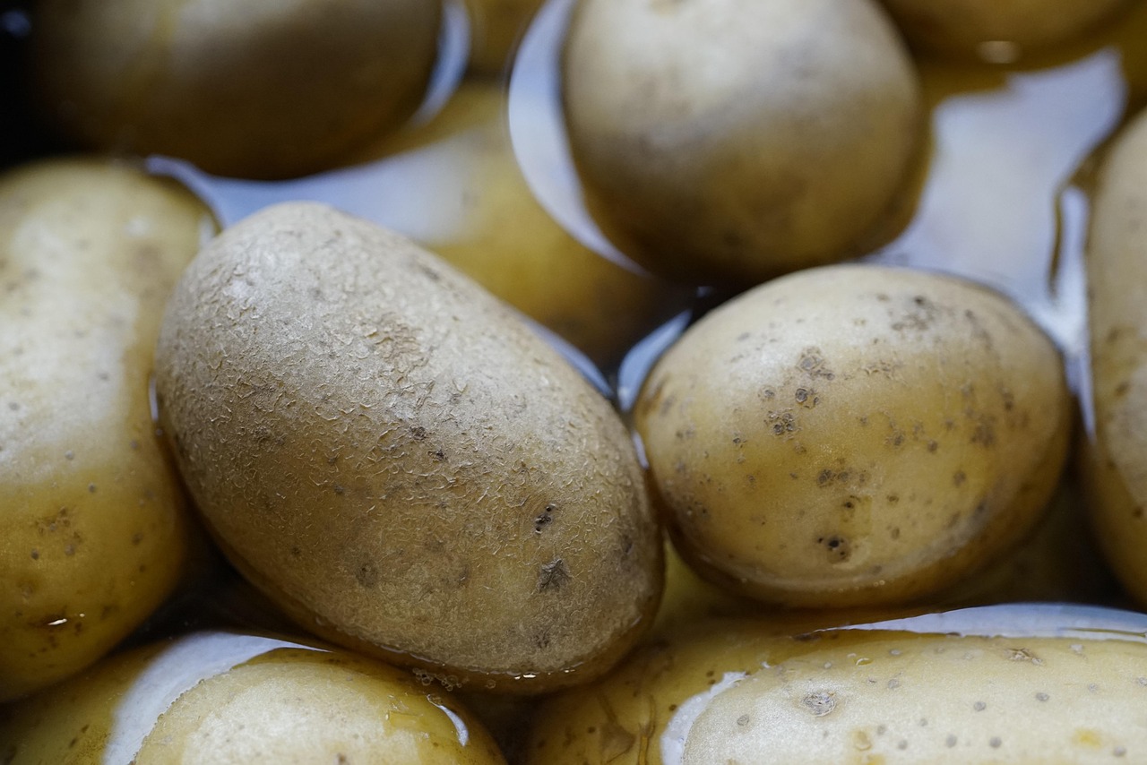 découvrez comment transformer votre potager à la maison en une source de profit rentable grâce à nos conseils pratiques et astuces simples.