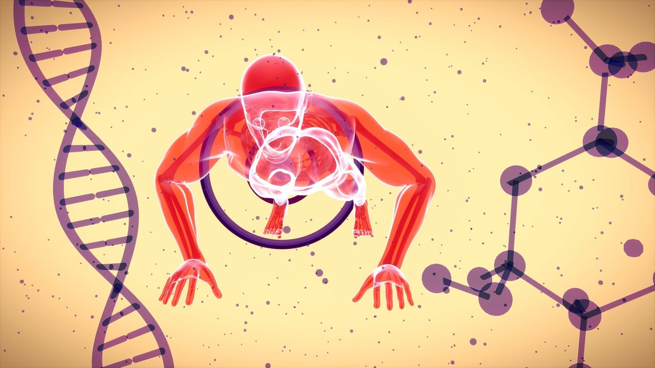 découvrez les secrets de la longévité pour vivre plus longtemps en meilleure santé grâce à des conseils pratiques et des recherches scientifiques.