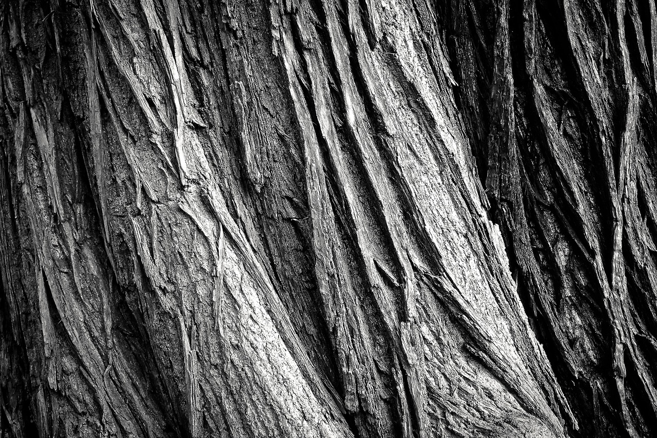 découvrez le faux wood, une alternative élégante et économique au bois naturel pour vos projets de décoration et rénovation. facile à entretenir et durable, il offre un rendu réaliste parfait pour tous les styles.