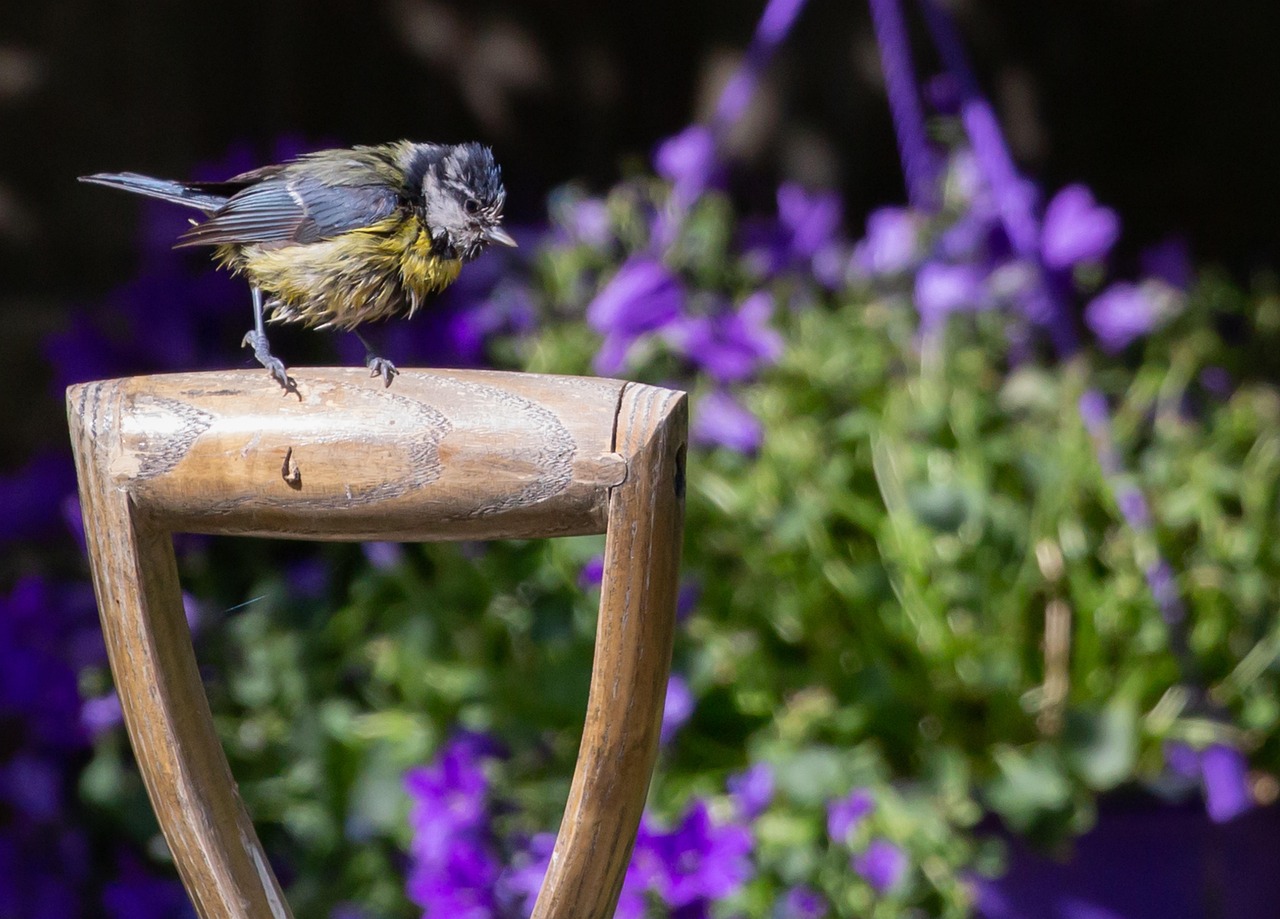 pelle de jardin robuste et ergonomique, idéale pour creuser, planter et entretenir votre jardin avec facilité et précision.