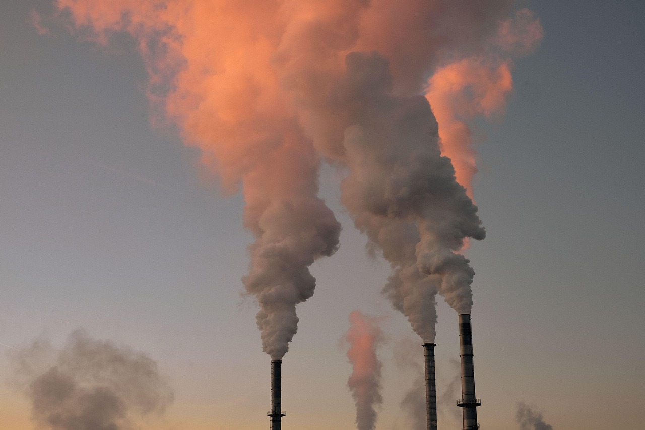 découvrez des informations essentielles et des conseils pratiques sur l'environnement pour mieux comprendre et préserver notre planète.