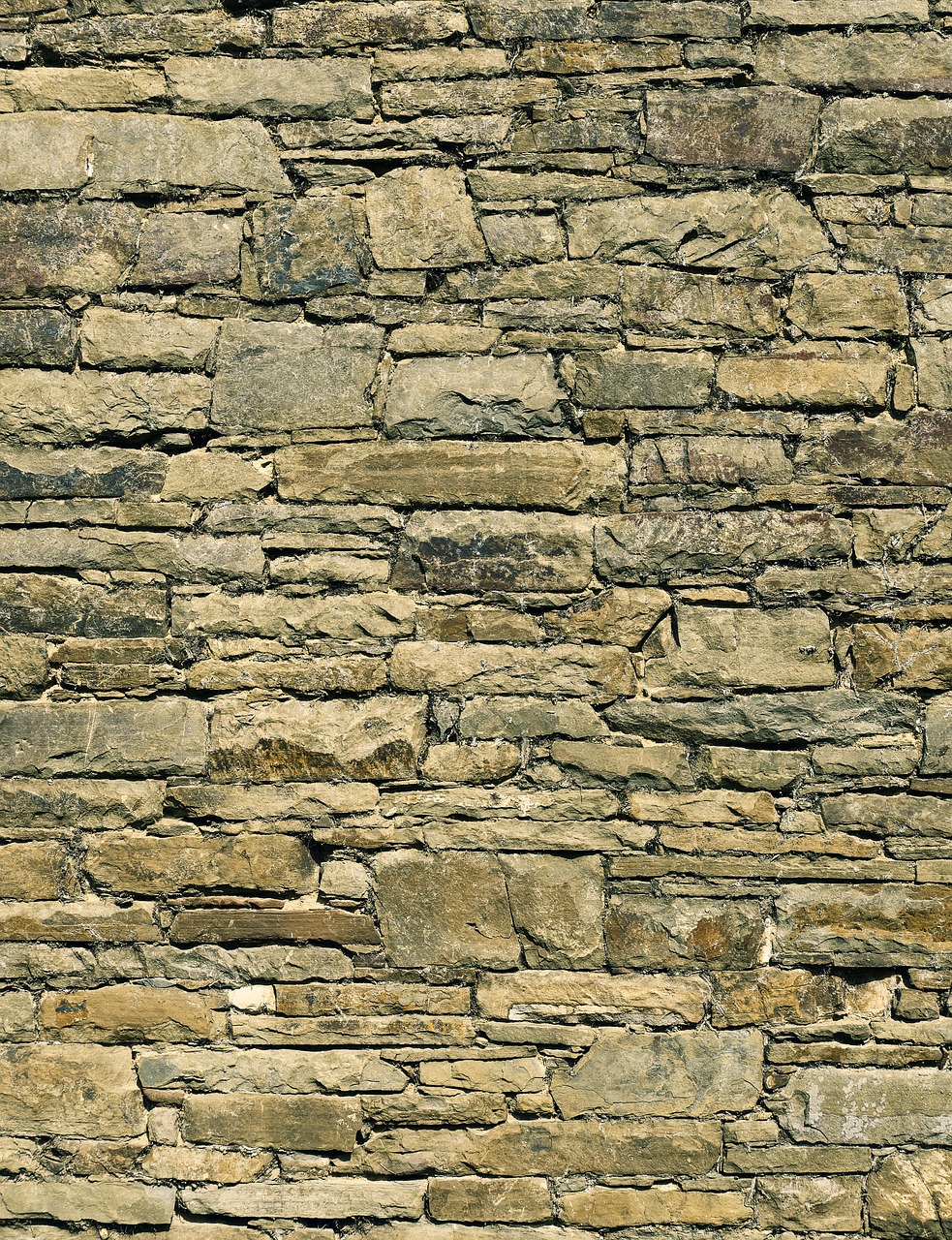 découvrez nos bordures en briques pour un aménagement paysager élégant et durable, parfaites pour délimiter vos jardins, allées et espaces extérieurs.