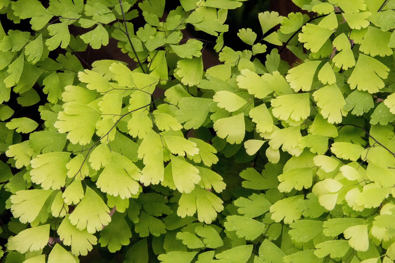 conseils pratiques pour la préparation de votre jardin : techniques, outils et astuces pour un sol fertile et des plantations réussies.