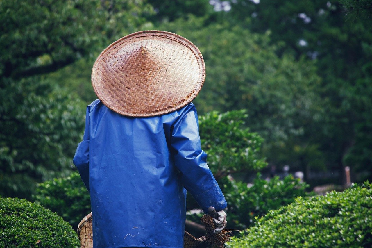 découvrez des conseils de jardinage pratiques, des astuces pour entretenir vos plantes et créer un espace vert harmonieux chez vous.