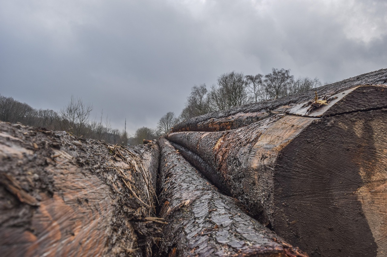 solutions efficaces et durables pour le stockage du bois de chauffage, afin de garder votre bois sec et prêt à l'utilisation.