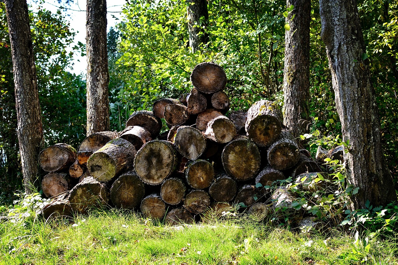 solutions de stockage de bois de chauffage pratiques et durables pour garder votre bois sec et prêt à l'emploi toute l'année.