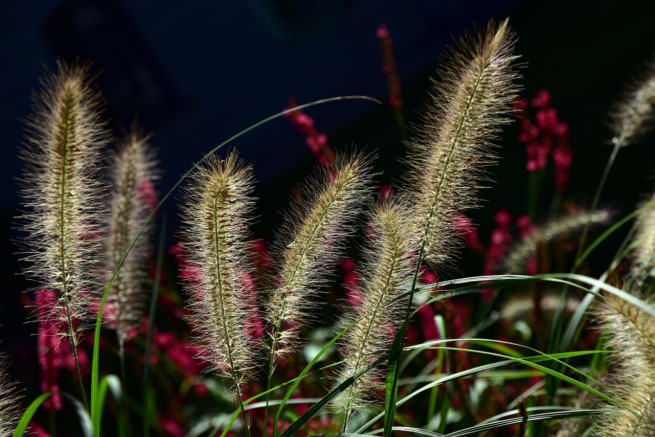 découvrez notre nettoyant naturel, respectueux de l'environnement et efficace pour une maison propre et saine sans produits chimiques agressifs.