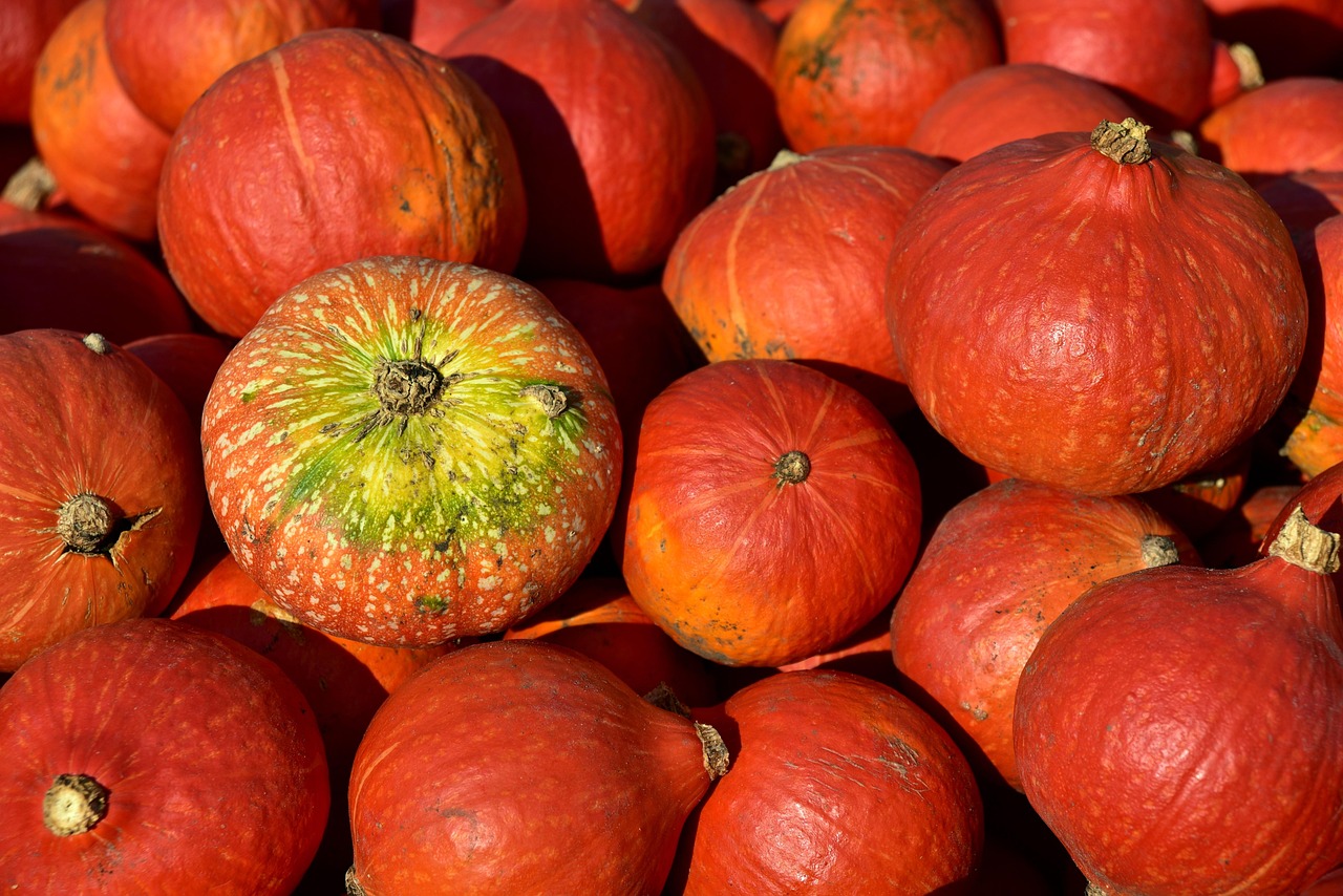 découvrez tout sur les citrouilles : variétés, utilisations culinaires, décoration et conseils de culture pour une récolte réussie.